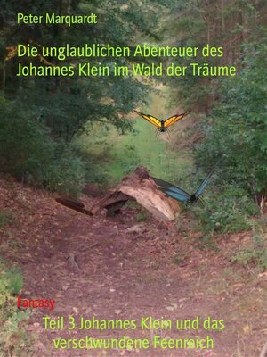 cover image of Teil 3 Johannes Klein und das verschwundene Feenreich